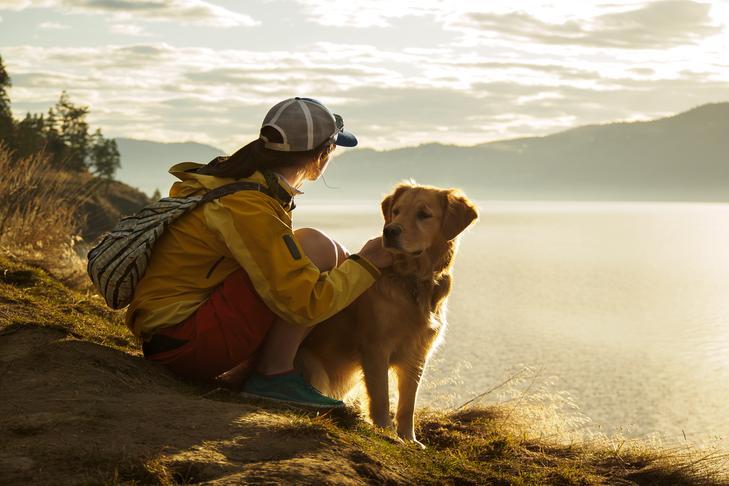 How to Train a Dog for Hiking Adventures
