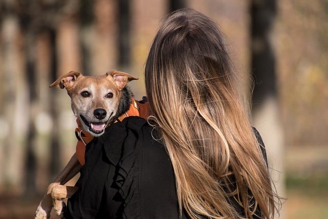 Choosing the Right Harness for Comfort and Control
