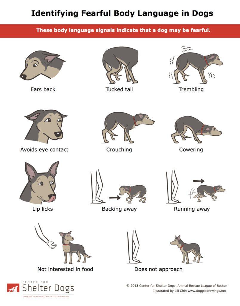 Understanding Body Language and Building Positive Communication