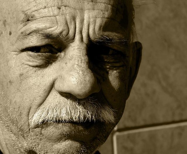 Monitoring Your Senior Dogs Comfort and Progress