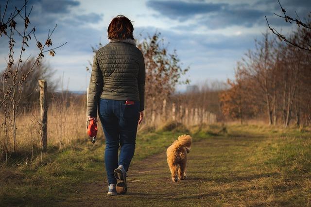 Understanding Your Dogs Reluctance to Walk