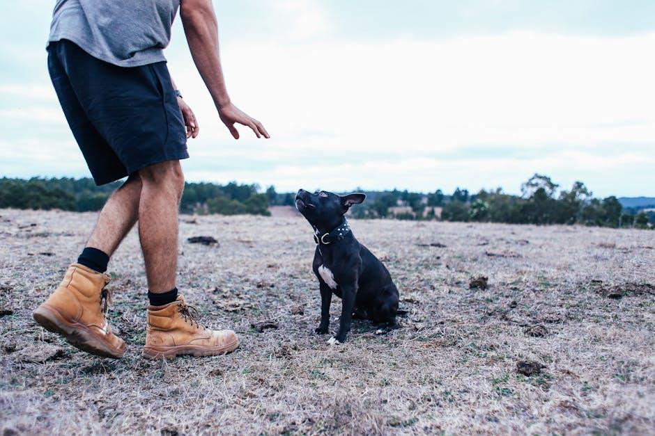 How Neutering Influences Aggression and Social Interaction