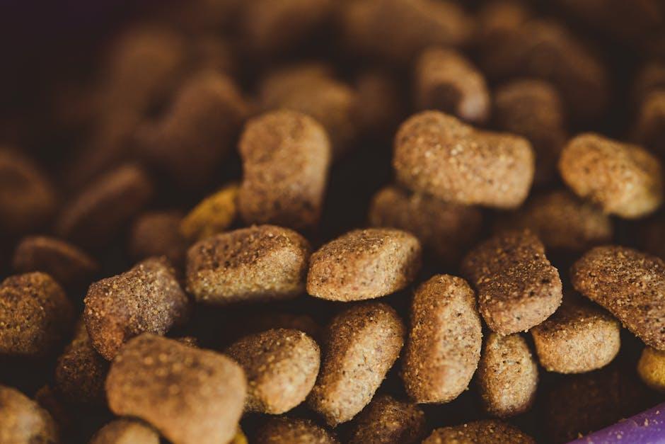 Essential ‌Vitamins and Minerals Every Dog Needs