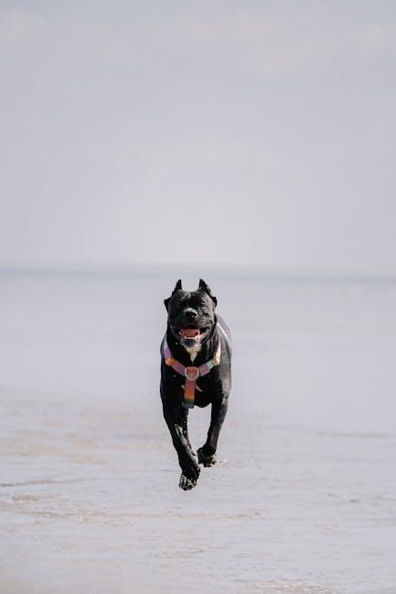 Understanding ‌Your Dogs Triggers and Needs