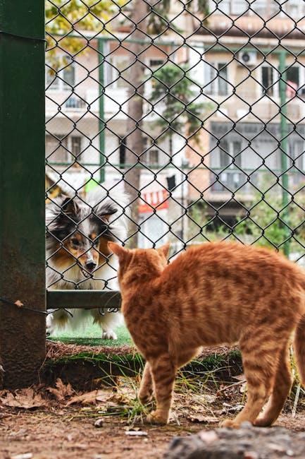 Understanding Your Dogs Curiosity and Environment