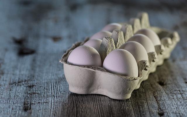 Understanding the Ingredients: What Really Goes Into Processed ‌Dog ​Food