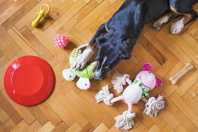 Interactive Features to Keep Your Dog Engaged