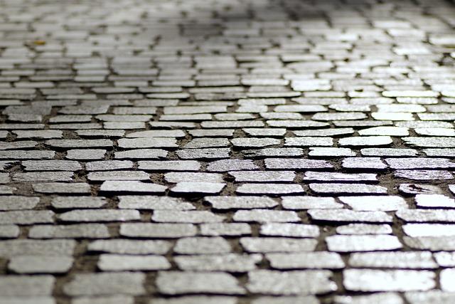 Understanding the Dangers of Hot Pavement for Dogs