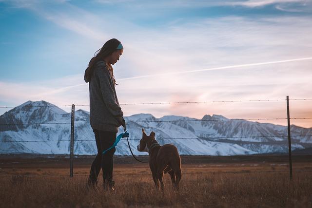 How to Train Your Dog to Walk on a Leash