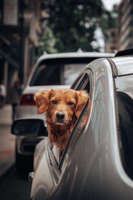 Creating a Safe Environment for Your Curious Pup