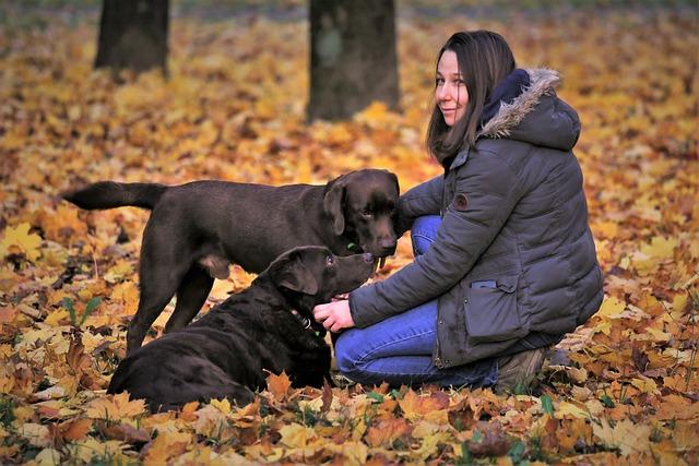 Choosing the Right Trainer for Your Furry Friend
