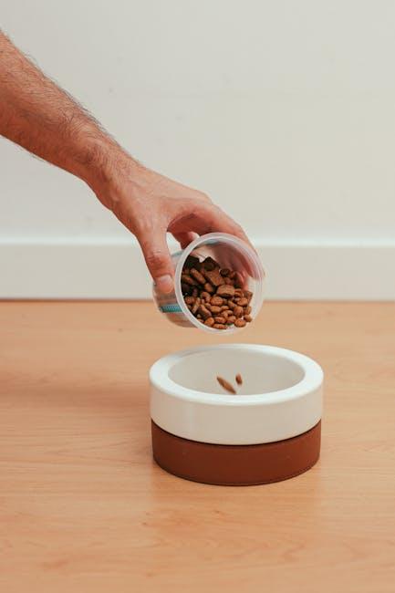 Understanding the Link Between Nutrition and Joint Health in Dogs