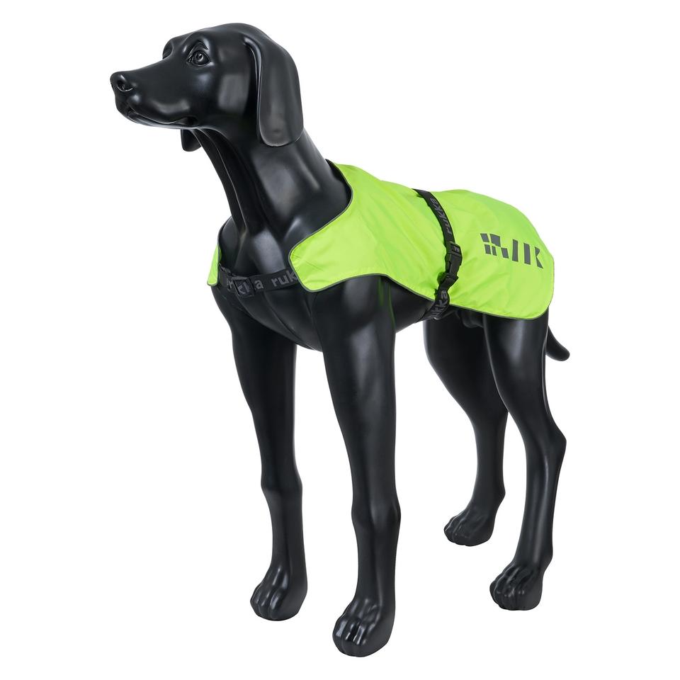 Choosing the Right Gear for Your Dogs Safety