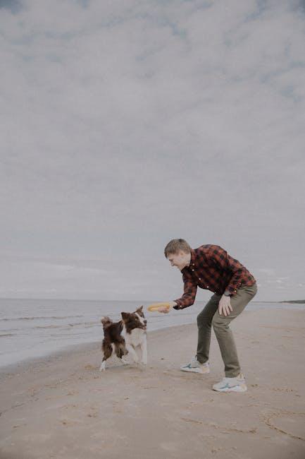 Training Tips: Making the Most Out of Frisbee Playtime with Your Pup