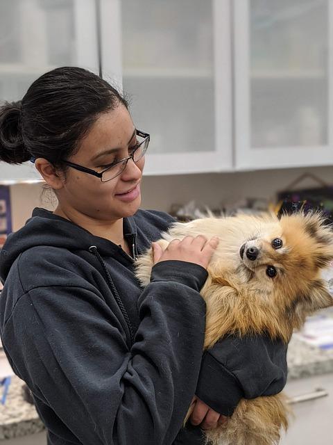 Creating a Stress-Free Experience Tips for Keeping Your Dog Calm