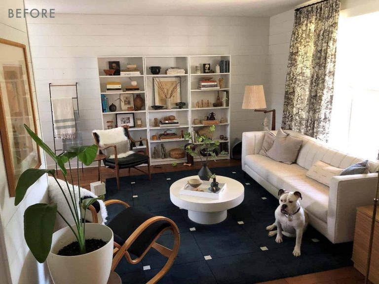 How to Create a Dog Friendly Living Space