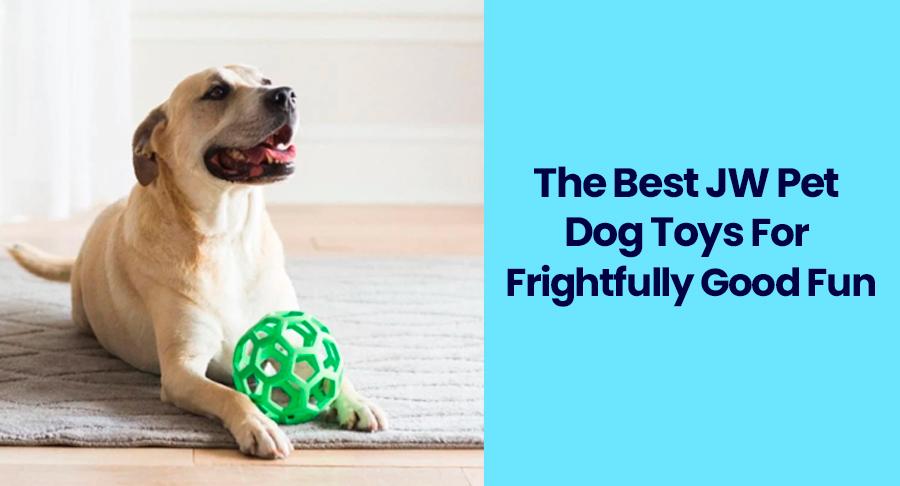 Interactive Fetch Toys to Boost Your Dogs Intelligence