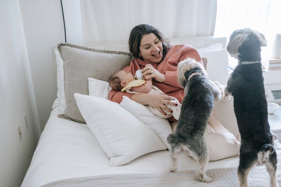 Understanding the ⁣Nutritional Needs of Your Canine