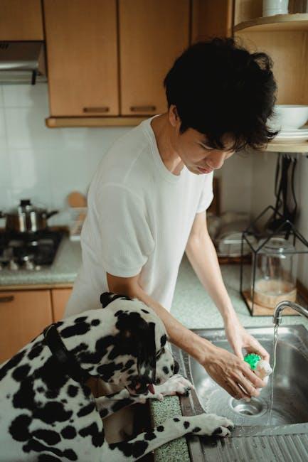 Choosing the Right Cleaning Products for Your Pups Toys