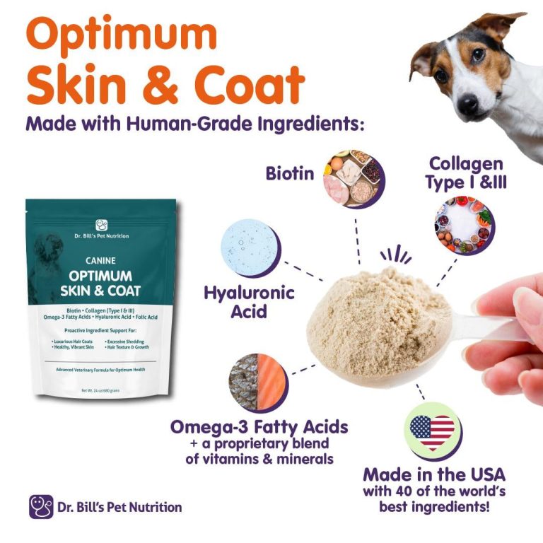 How to Keep Your Dog’s Skin Healthy