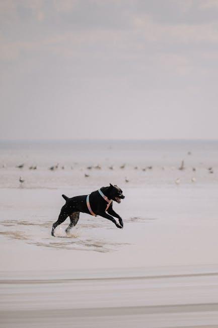 Understanding Allergies in Dogs and the Importance of Non-Toxic Toys