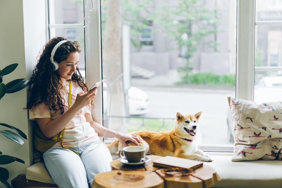 Engaging Your Dogs Senses Through Audio and Visual Stimulation