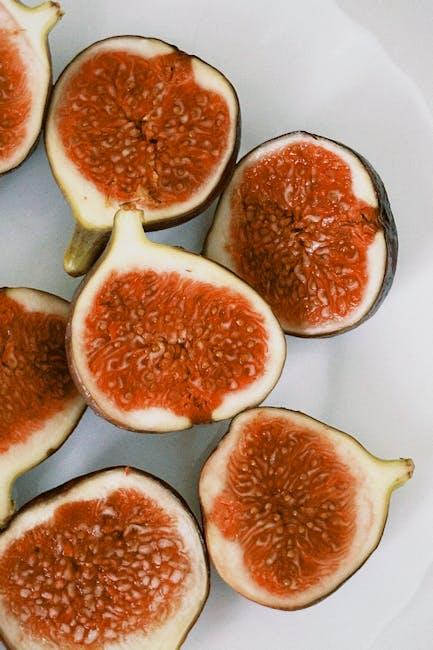 Balancing a Vegan Diet for Your Furry Friend