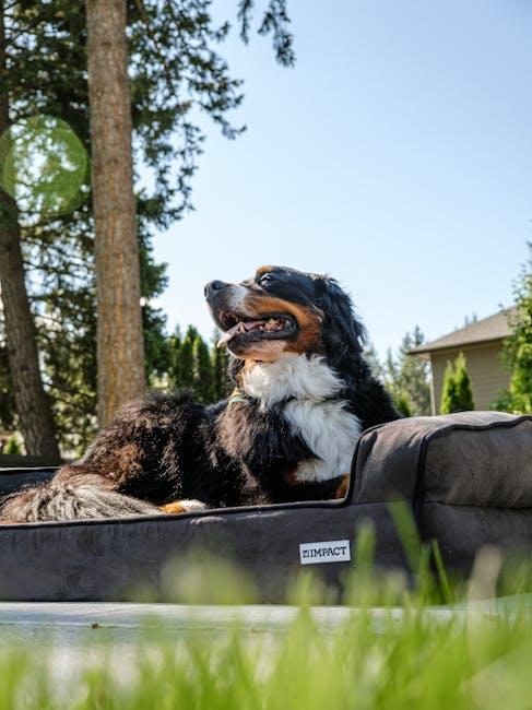 Understanding Your Large Breeds Unique Needs