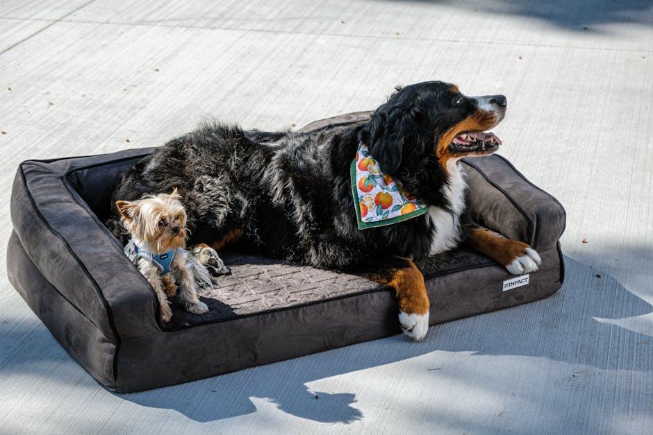 Balancing Freedom and Safety for Your Furry Friend