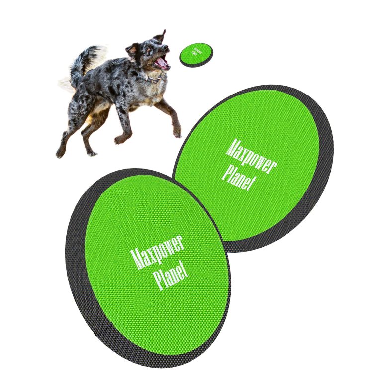 The Best Frisbee Toys for Active Dogs