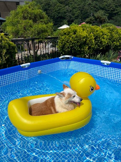 Creating a Safe Pool Environment for Your Canine