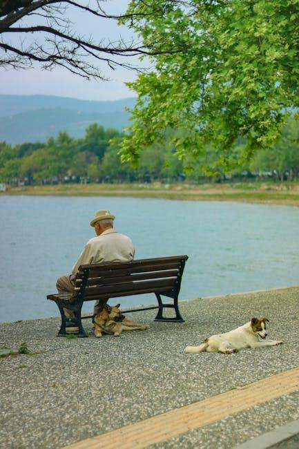 Toys That Help Senior Dogs Stay Active