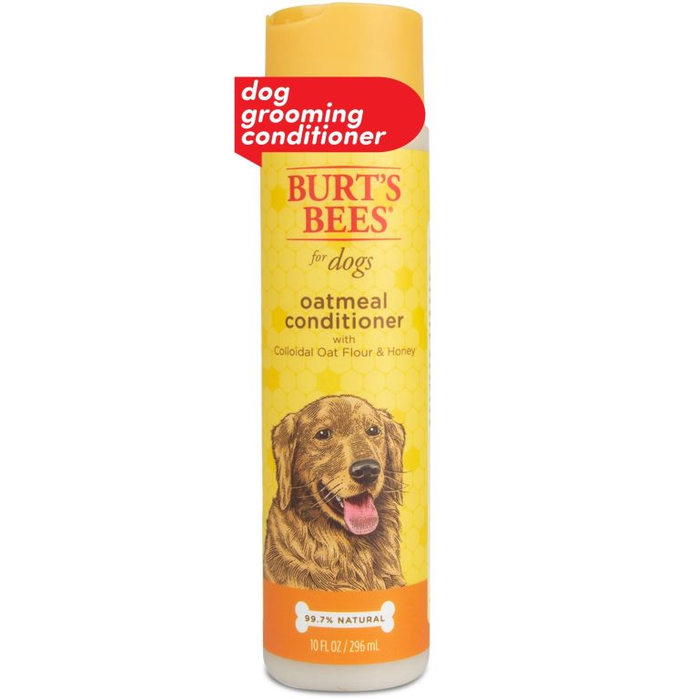 How to Choose the Best Conditioner for Your Dog’s Coat