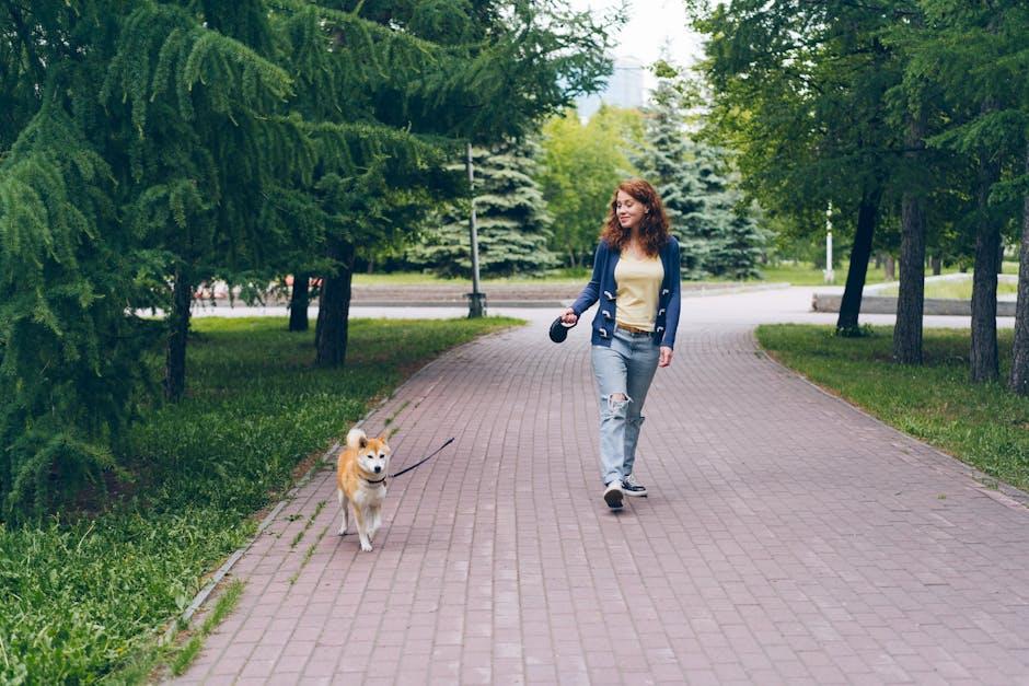 Mastering Urban Dog Walking Etiquette