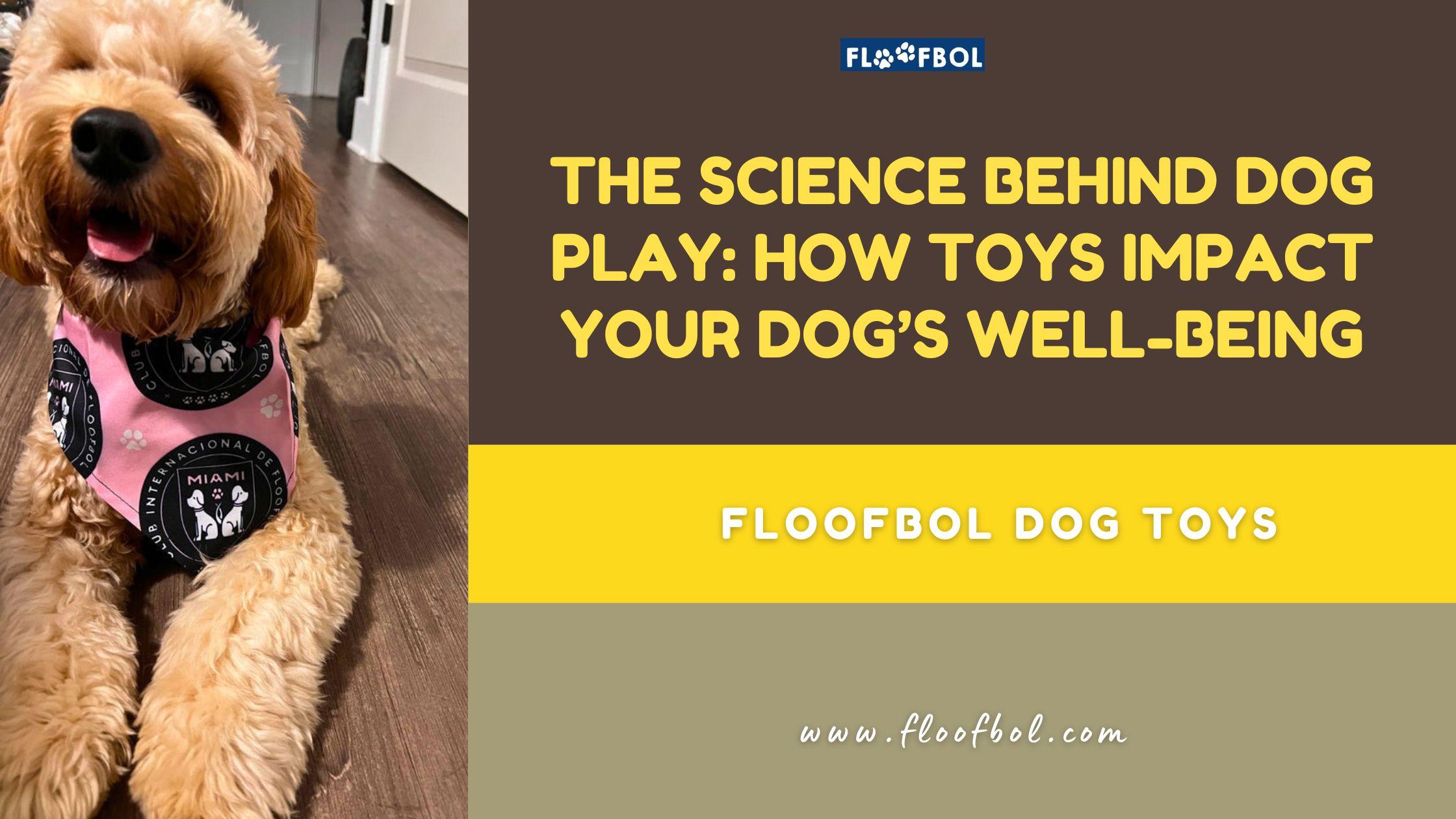 Creating a Welcoming Environment for Playtime