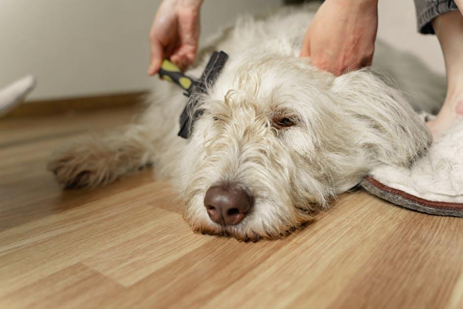 Creating a Bonding Routine Through Gentle Brushing Sessions