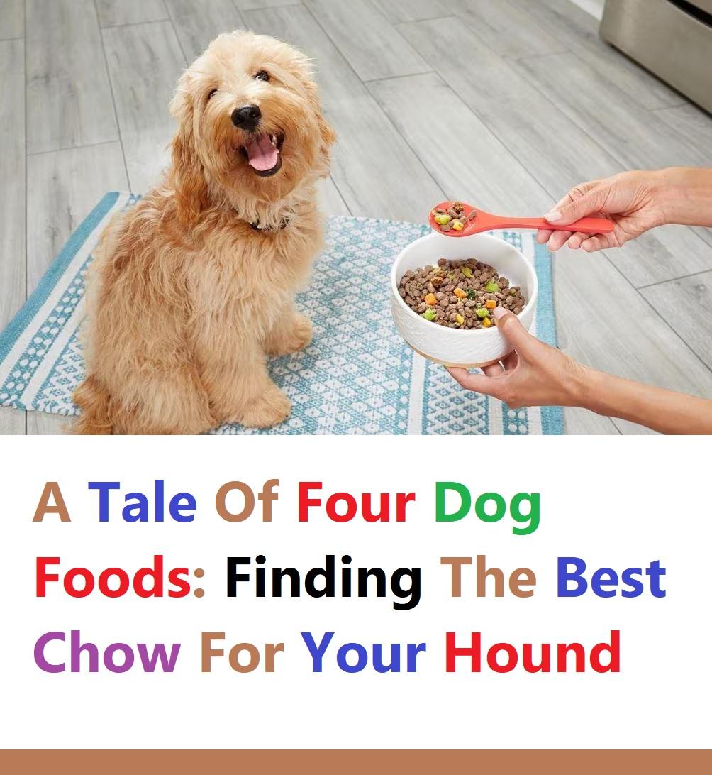 Practical Tips for⁢ Incorporating Antioxidants into Your Dogs Daily Diet