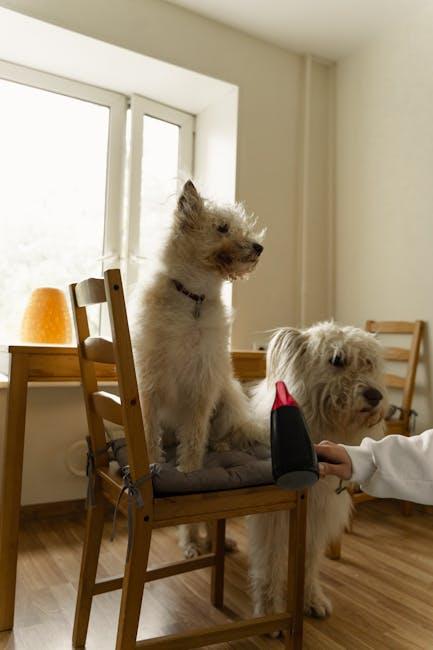 Understanding Common Household Hazards for Dogs