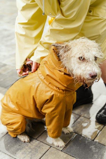 Creating a Safe and Comfortable Environment for Your Dog and Children