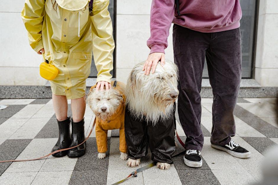 Creating a Reward System Tailored to Your Dog