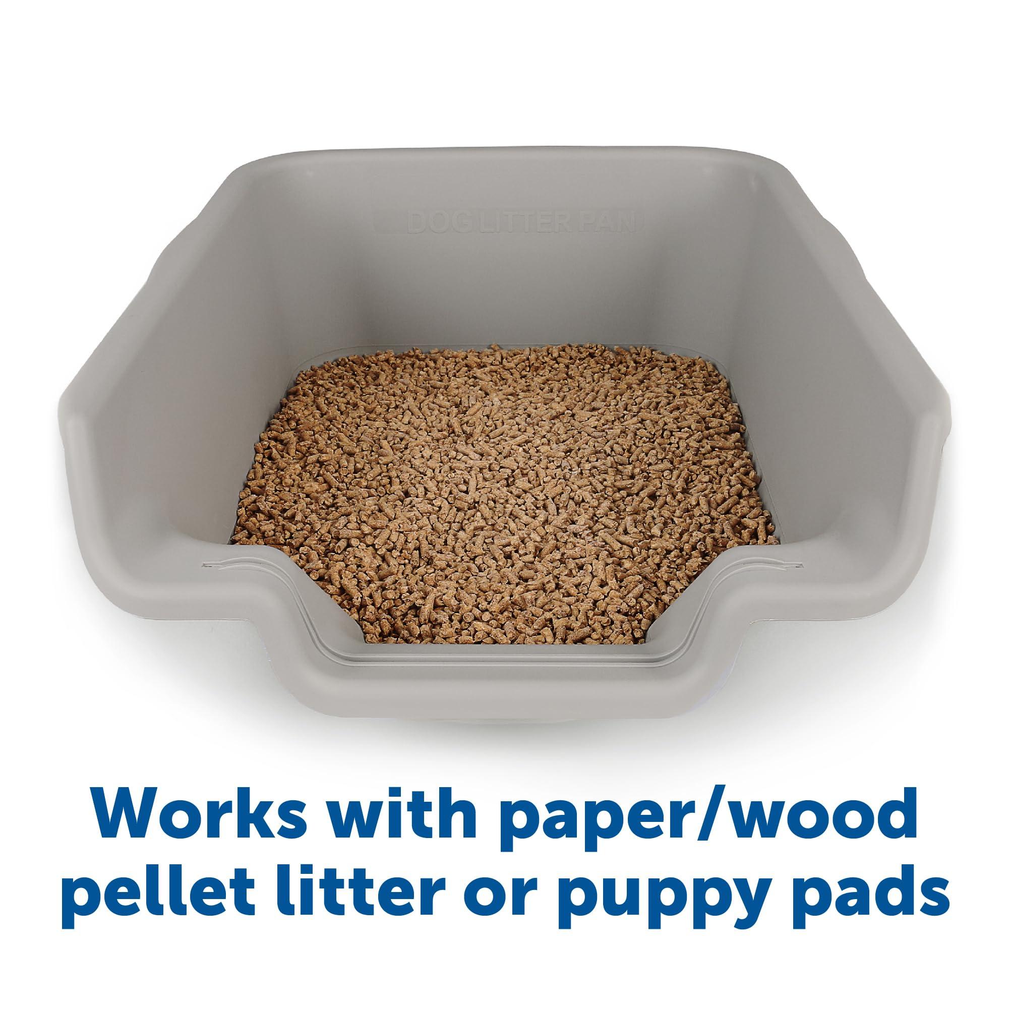 Choosing⁣ the ⁢Right​ Litter ⁢Box⁤ and Supplies for Your Dog