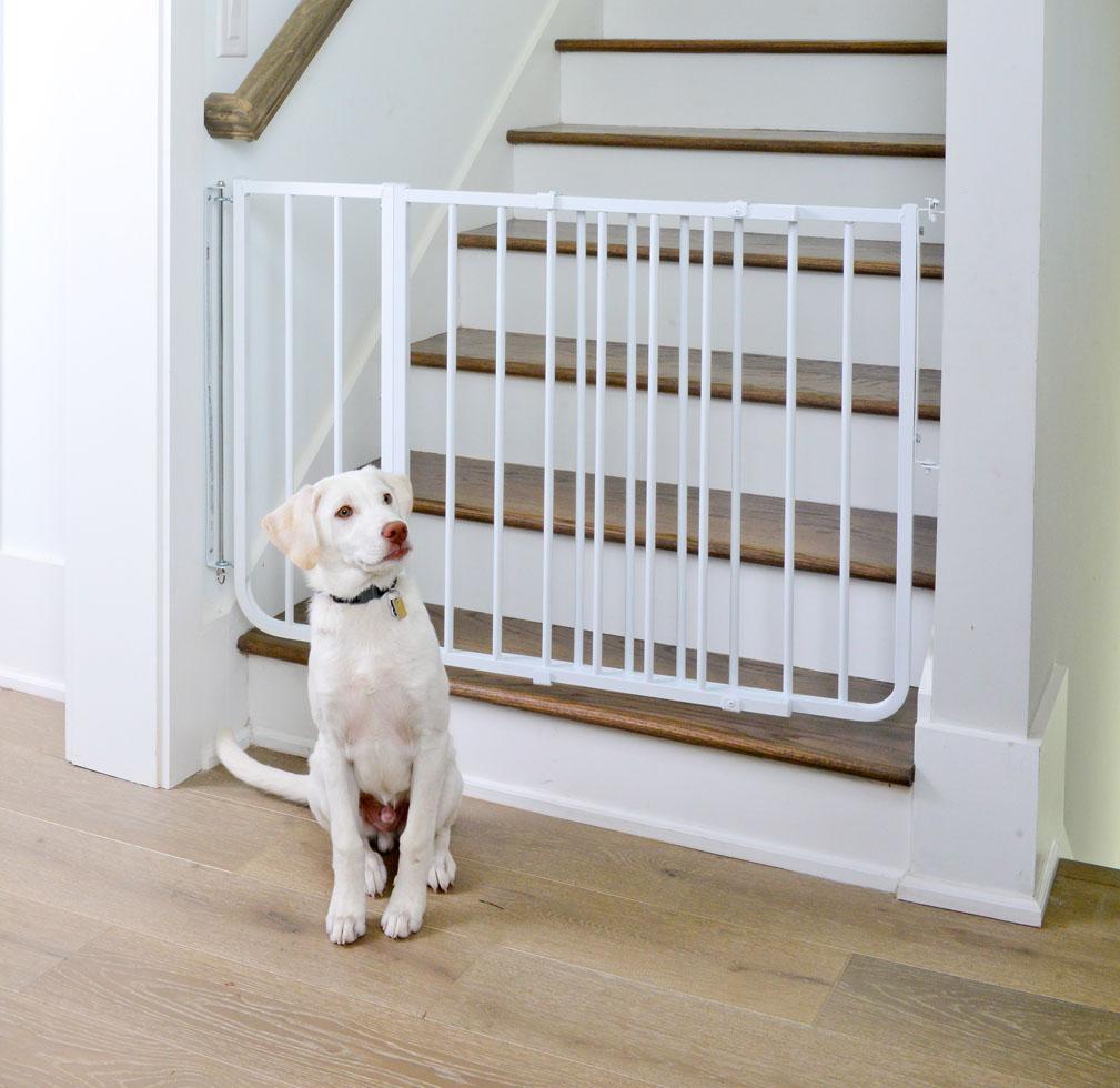 Installing Your Dog Safety Gate for Maximum Effectiveness