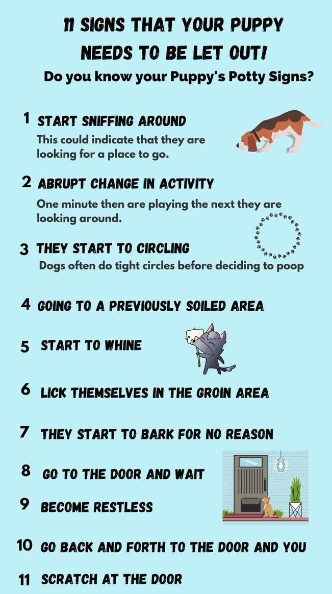 Understanding Your Dogs Reluctance ⁢to Potty Train