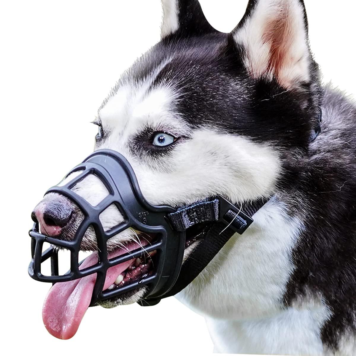 Understanding the Purpose of Muzzling: Safety for All