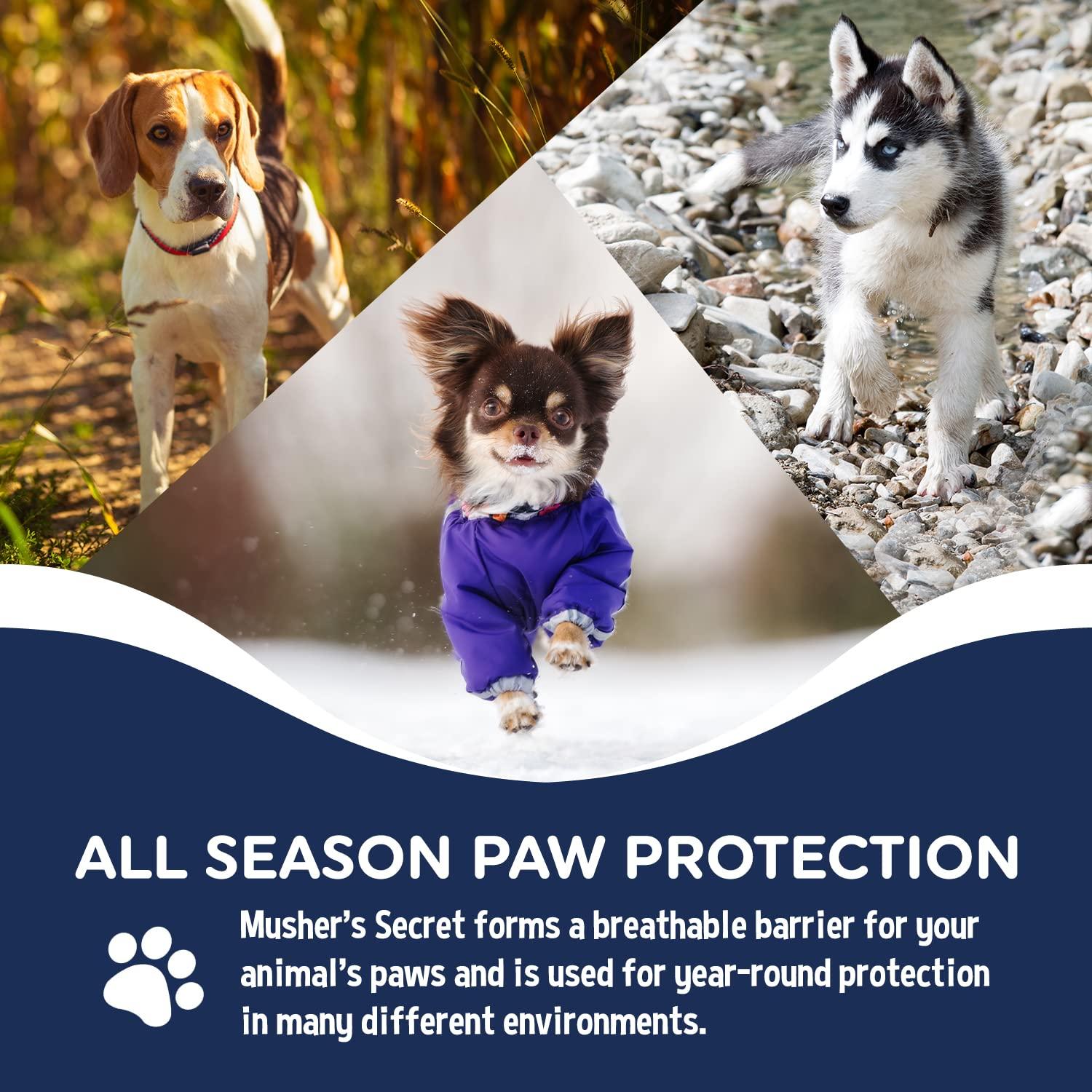 Footwear Protection for Paws on Rough Terrain