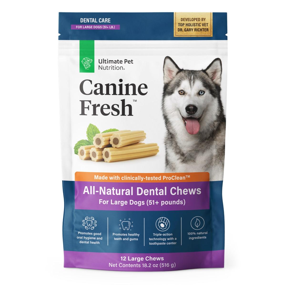 Harnessing the Power of Natural Ingredients to Maintain Your Dogs Oral Hygiene