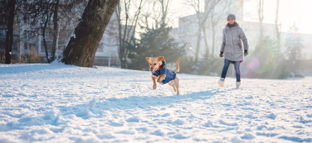 Maintaining a Safe Walking Routine in Cold Weather