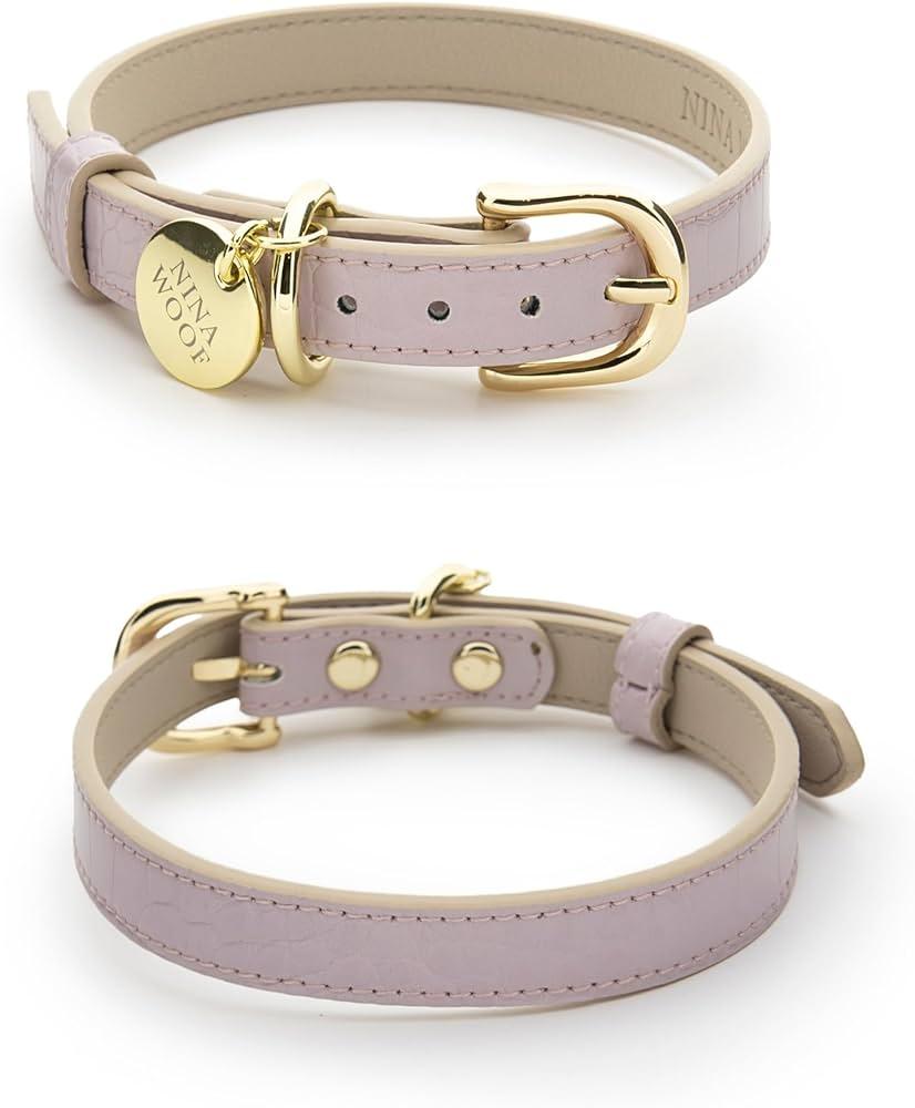 Choosing the Right Collar and Leash for Your Furry Friend