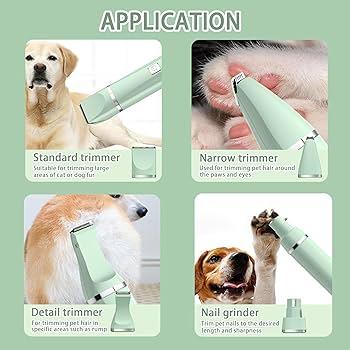 Creating a Gentle Grooming Routine to Ease Allergic Reactions