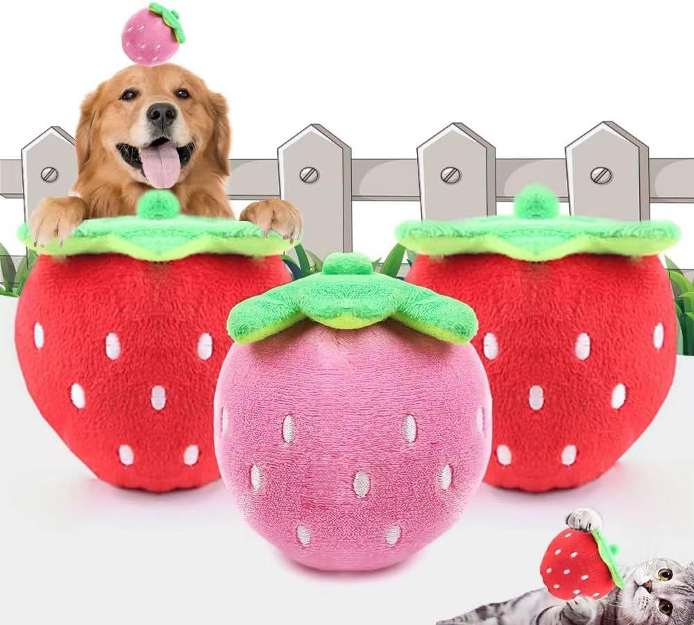 Selecting Safe and Durable Toys for Small Breeds
